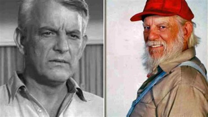 Denver Pyle Net Worth